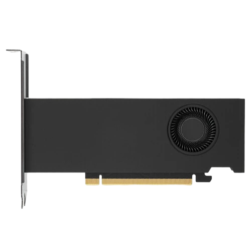 PNY RTX 2000 Ada Generation фото